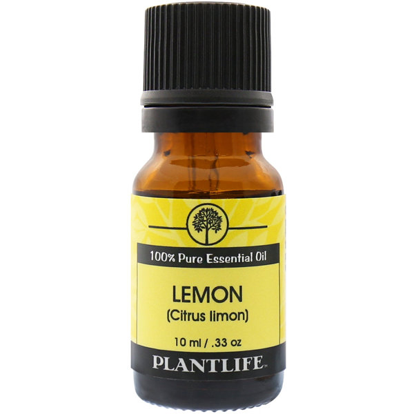 Plantlife Lemon Essential Oil Wayfair